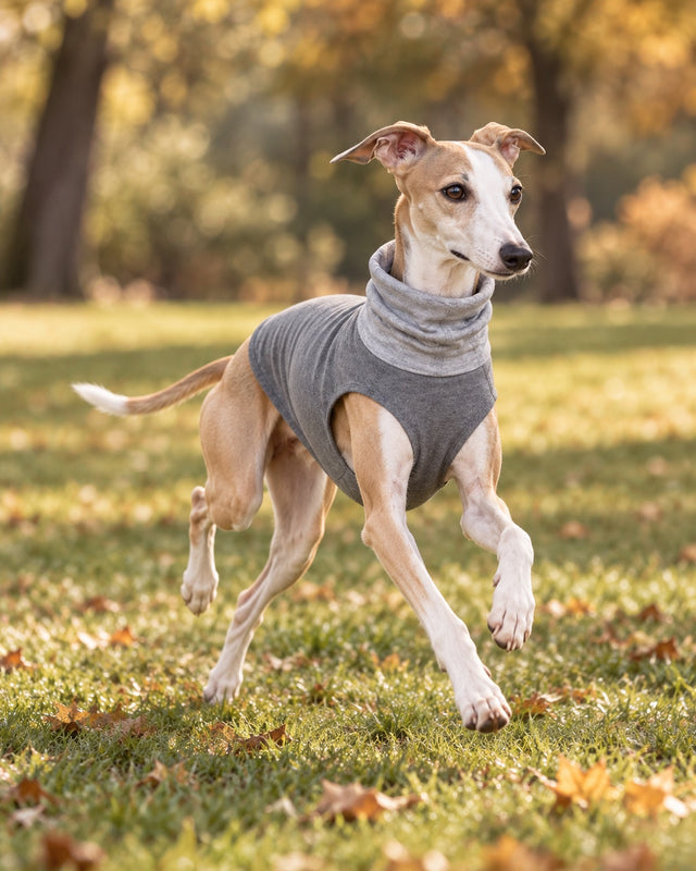 Çakıl Roll-Neck Dog Tee — everyday wear