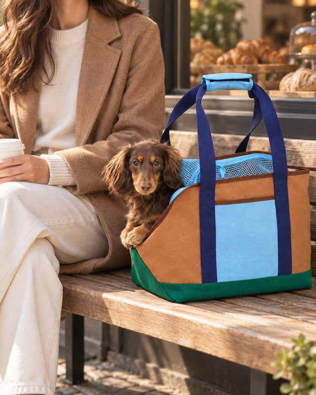Çarşı Canvas Pet Tote — everyday wear