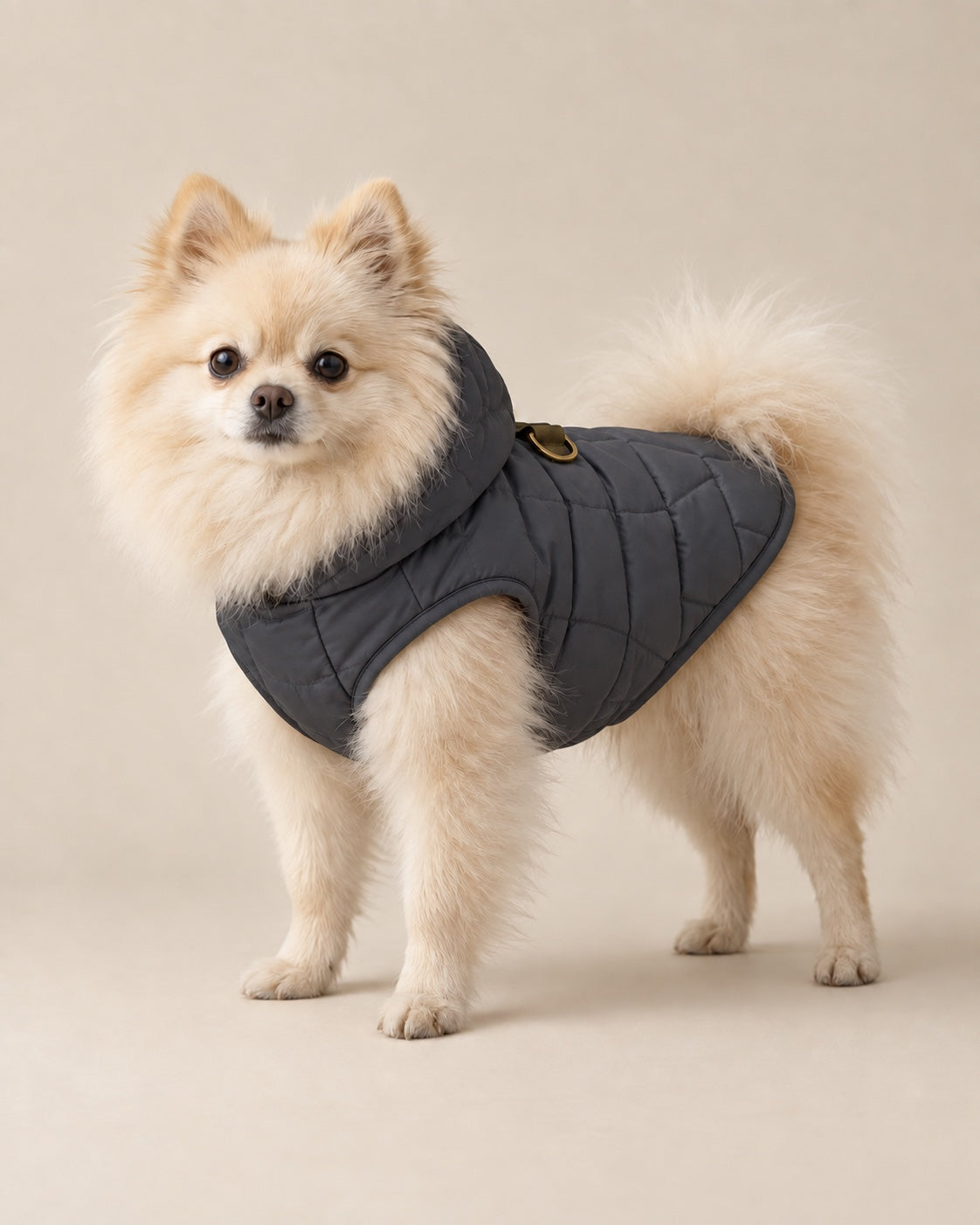 Antrasit Bora Şişme Mont — Pomeranian
