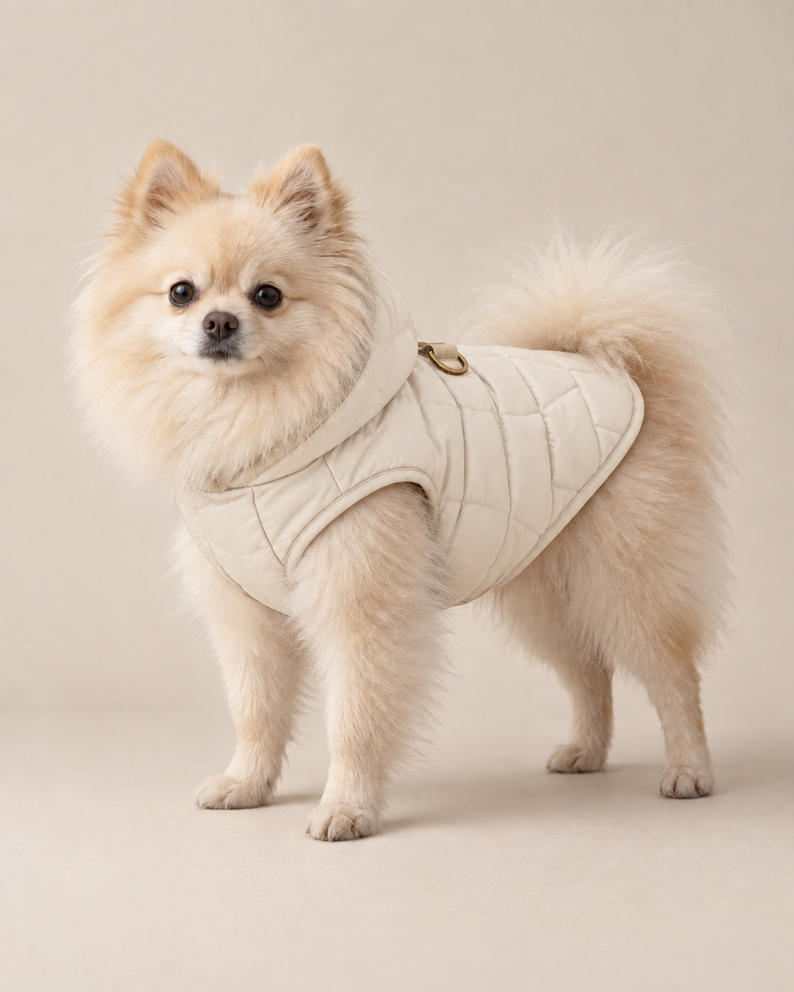 Krem Bora Şişme Mont — Pomeranian