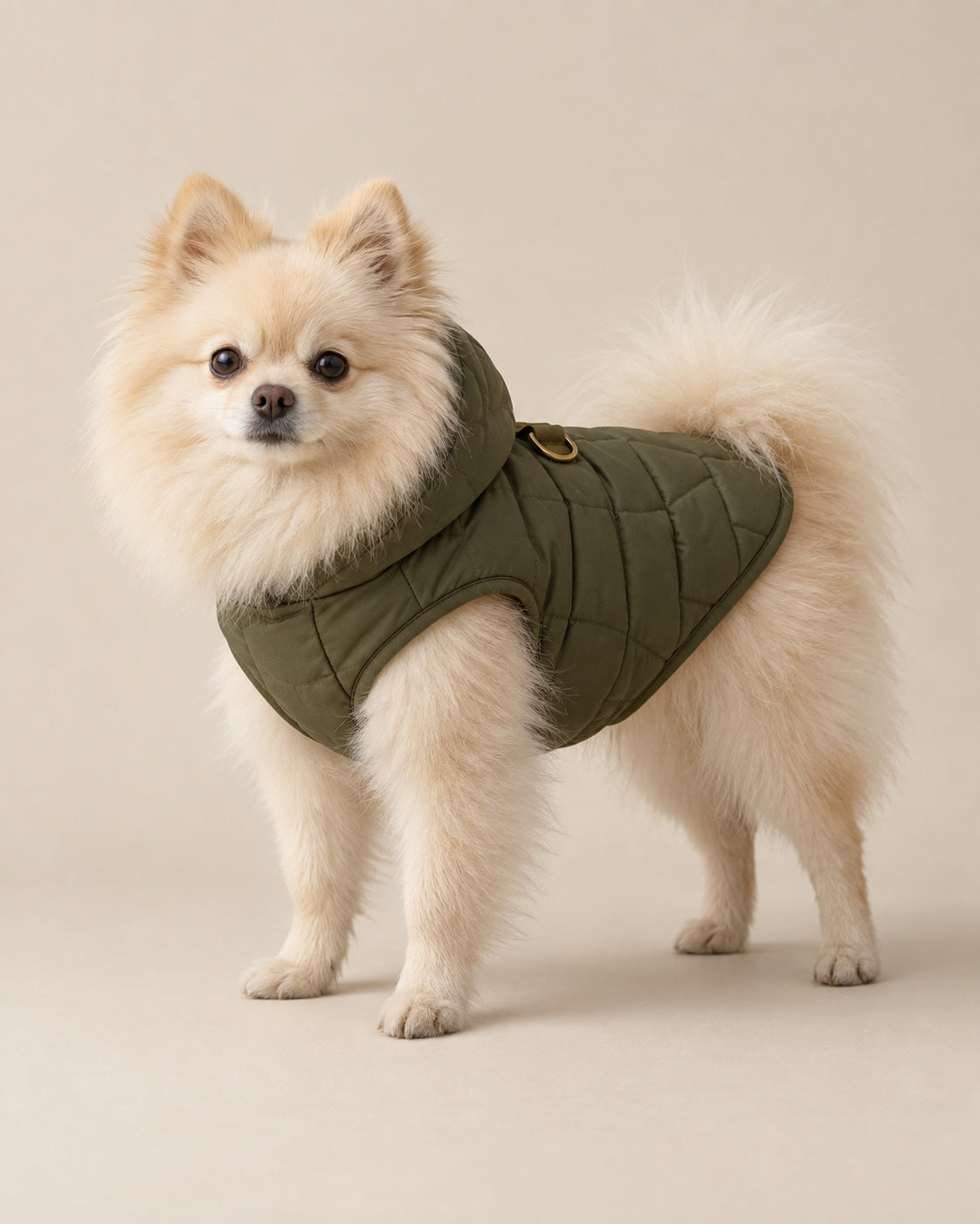 Zeytin Bora Şişme Mont — Pomeranian