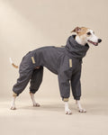 Charcoal Bozkır Softshell Dog Suit — Whippet