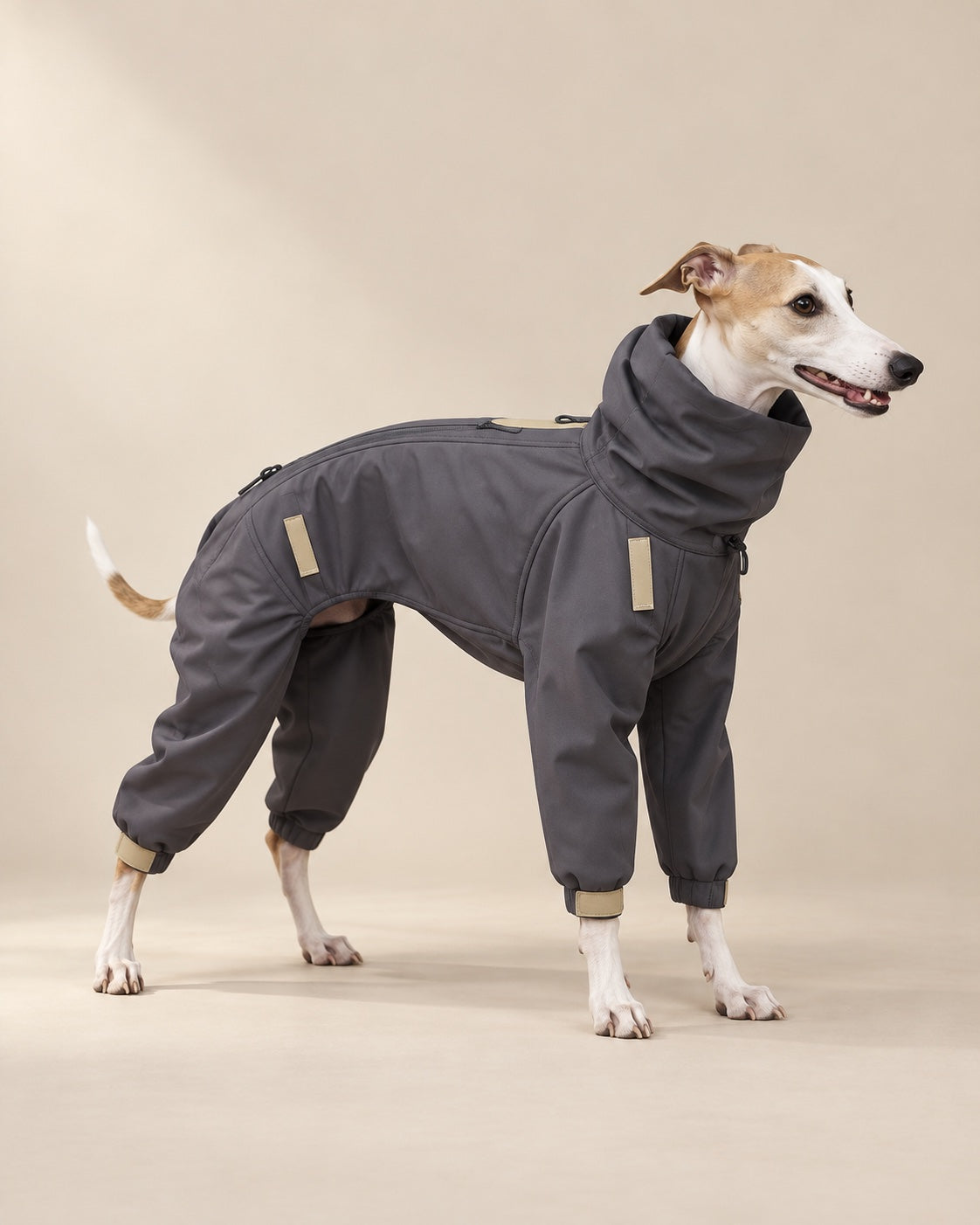 Antrasit Bozkır Softshell Tulum — Whippet