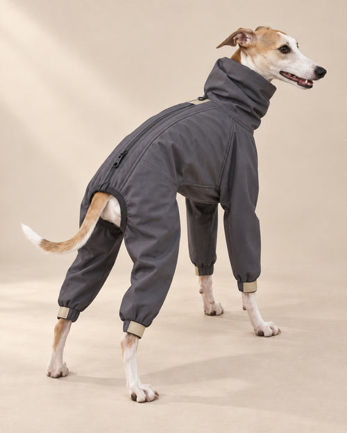 Bozkır Softshell Tulum — arka görünüm