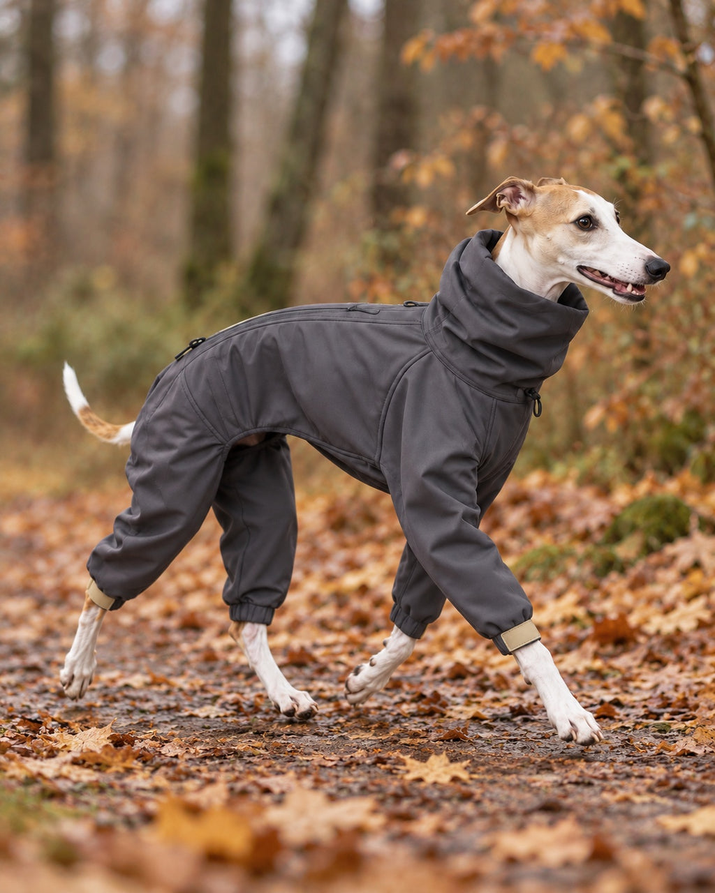 Bozkır Softshell Dog Suit — everyday wear