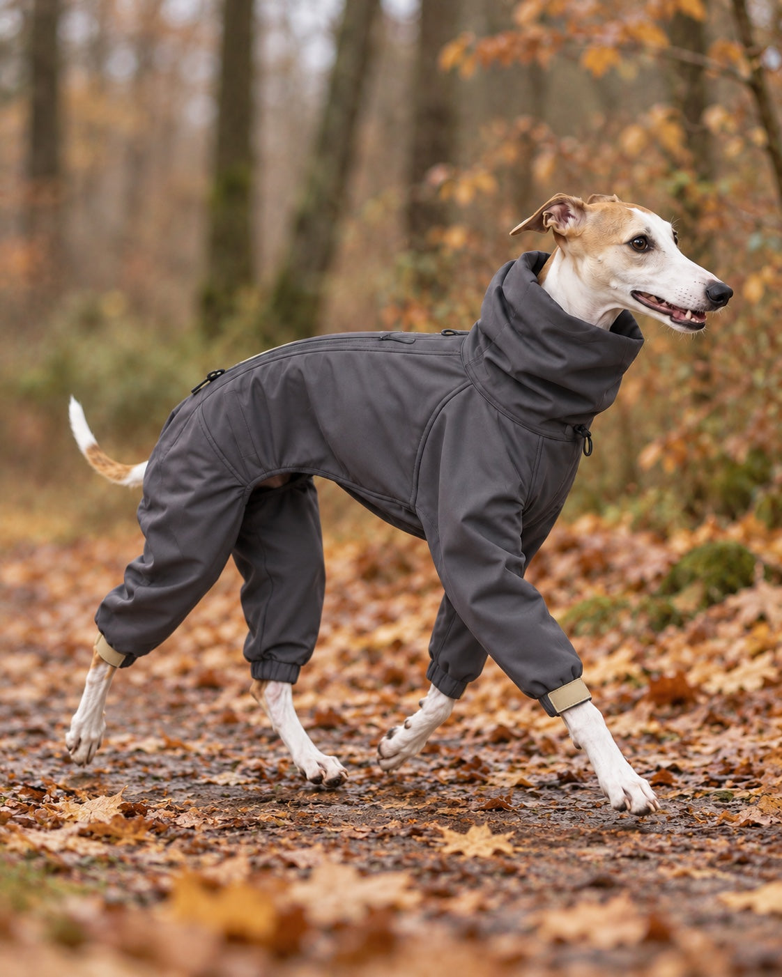 Bozkır Softshell Dog Suit — everyday wear