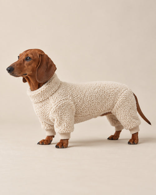 Krem Bulut Polar Tulum — Dachshund