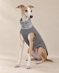 Grey Çakıl Roll-Neck Dog Tee — Italian Greyhound