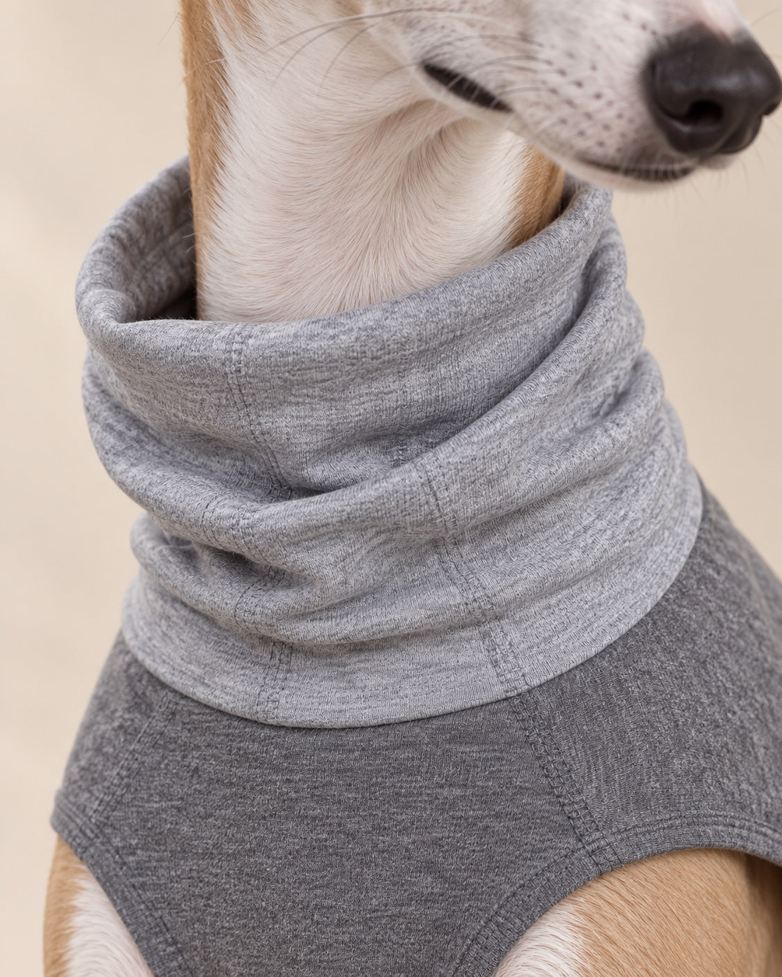 Çakıl Roll-Neck Dog Tee — fabric and fastening detail