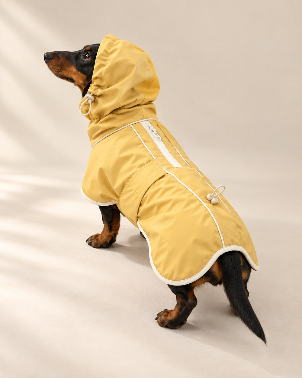Çise Dog Raincoat — back view