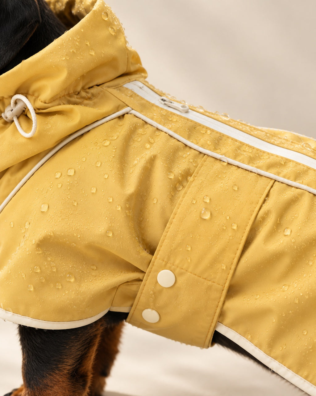 Çise Dog Raincoat — fabric and fastening detail