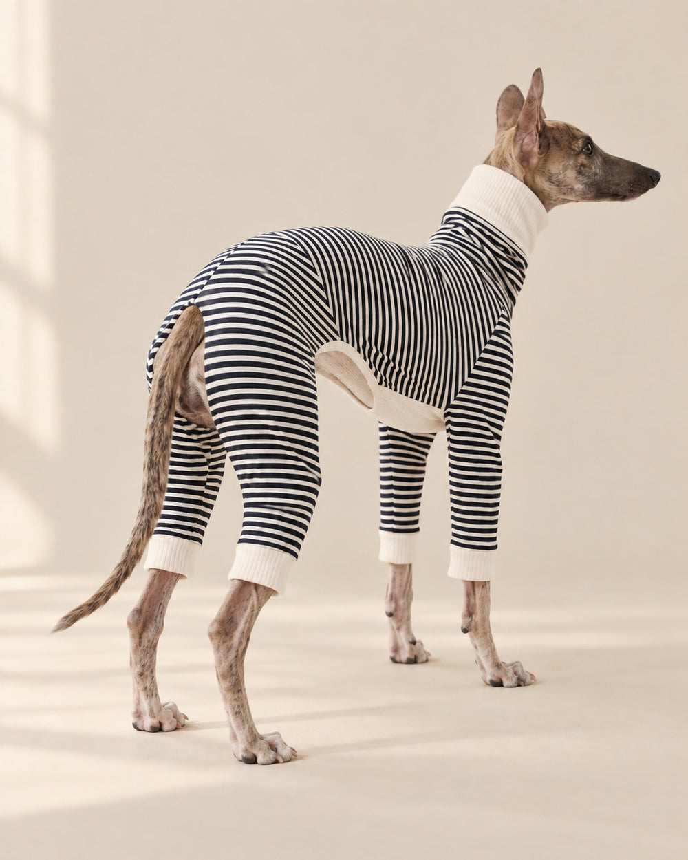 Çizgi Striped Dog Pyjamas — back view