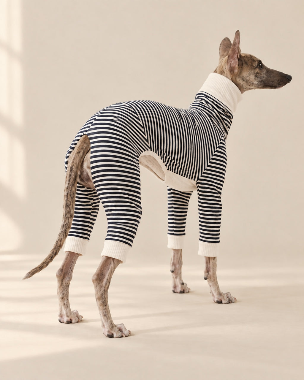 Çizgi Striped Dog Pyjamas — back view