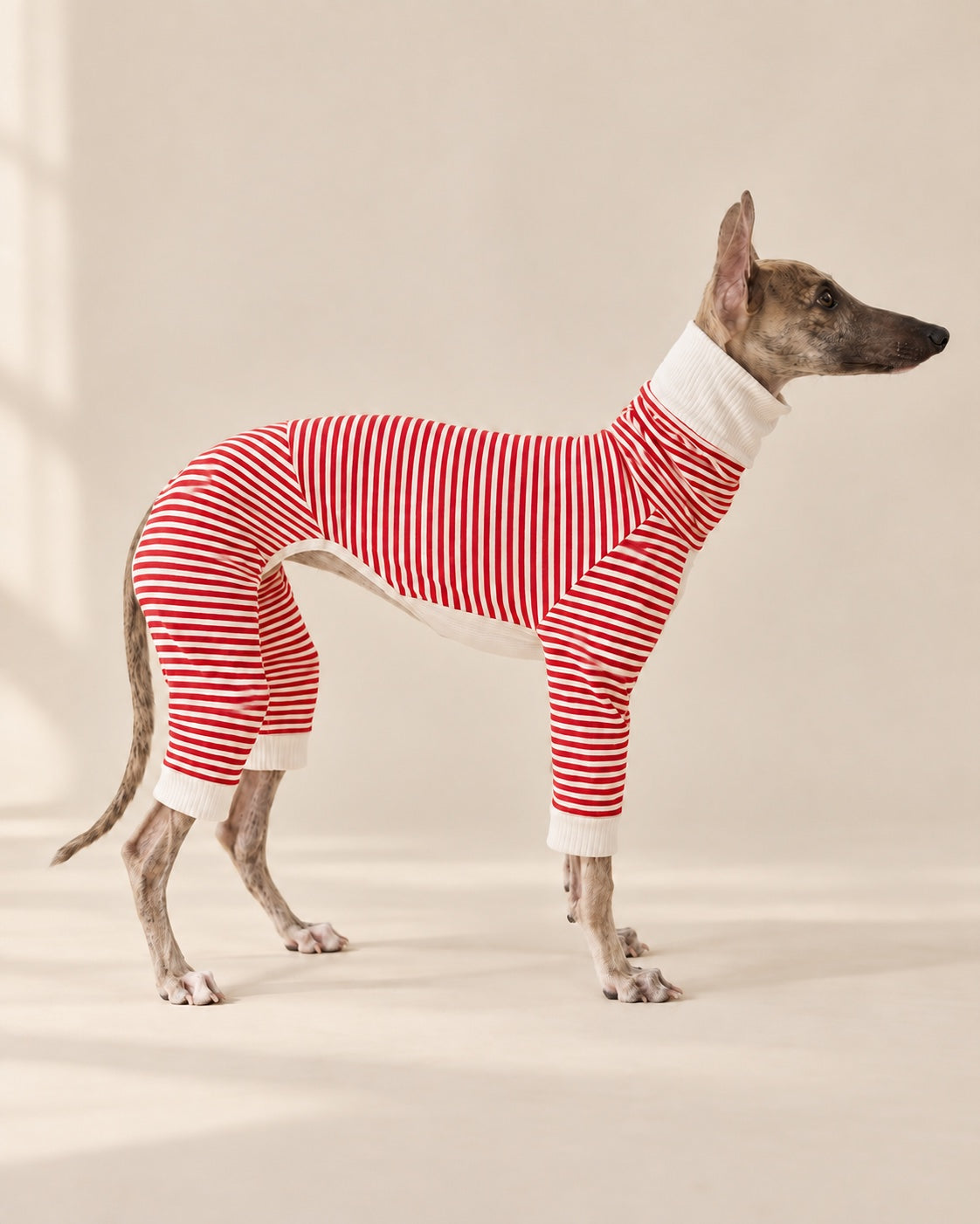 Kırmızı Çizgi Pijama Tulum — İtalyan Tazısı
