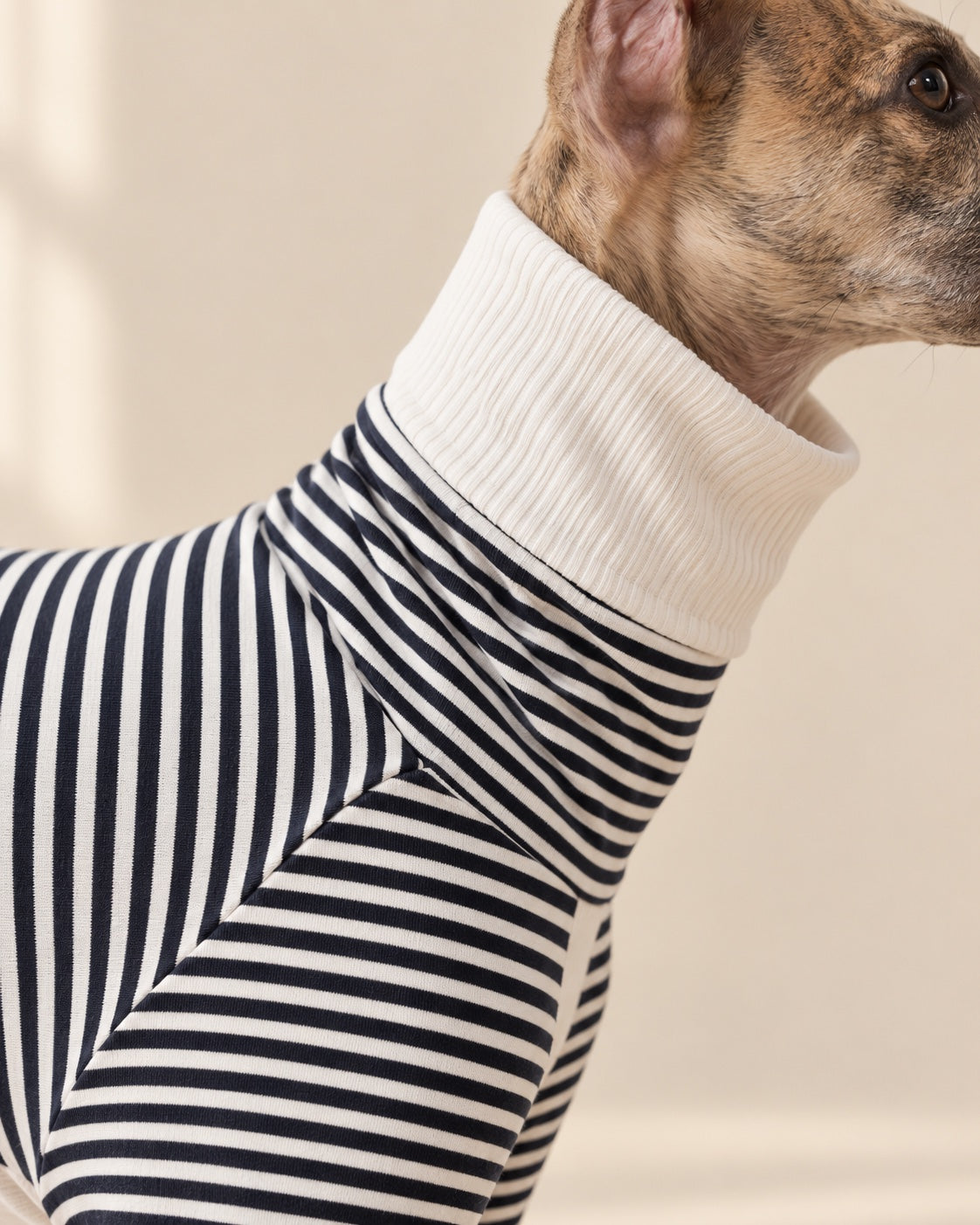 Çizgi Striped Dog Pyjamas — fabric and fastening detail