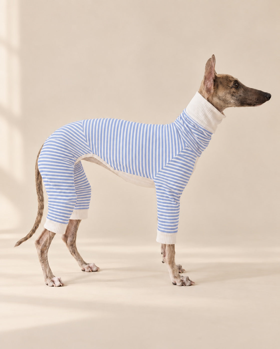 Mavi Çizgi Pijama Tulum — İtalyan Tazısı