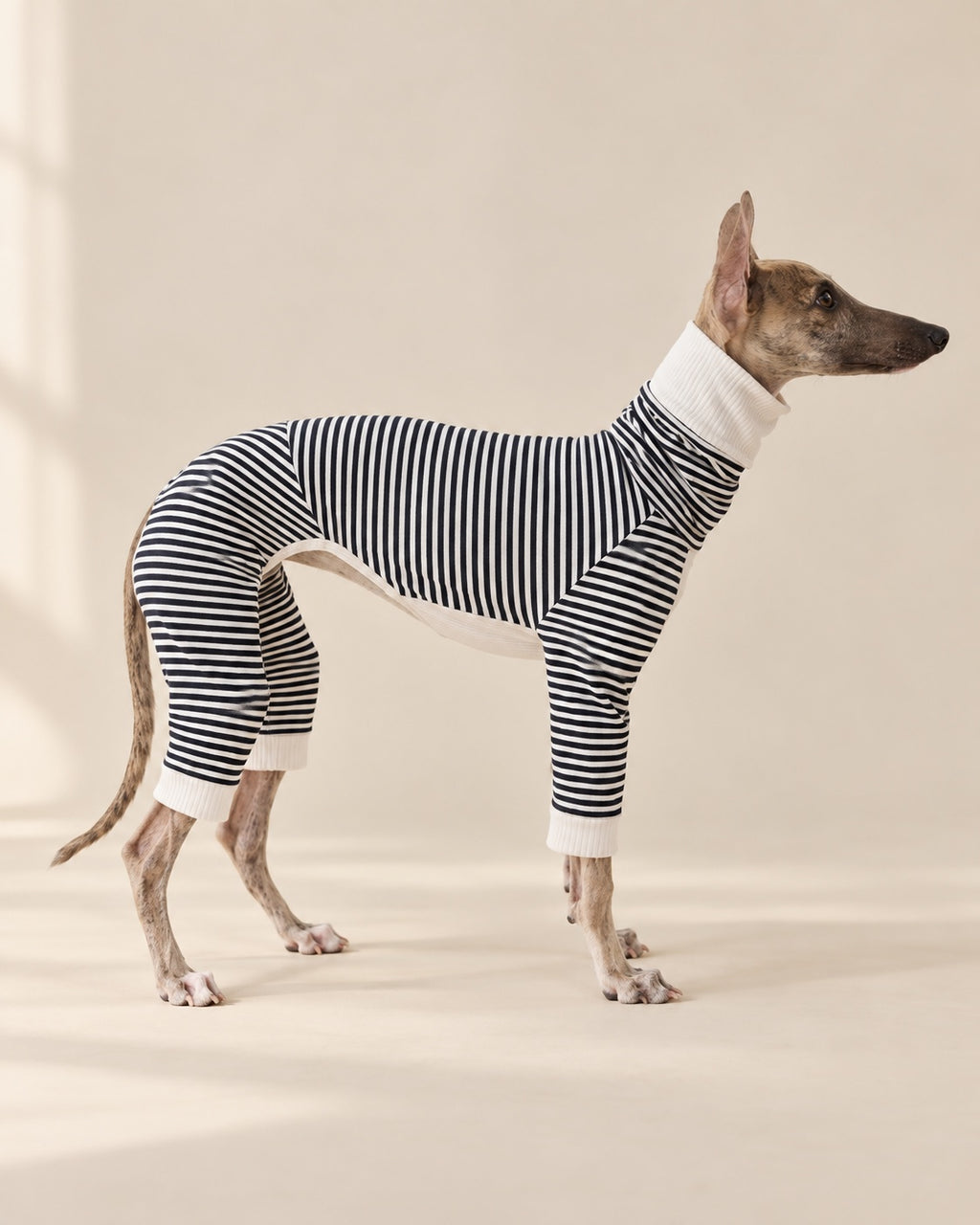 Black Çizgi Striped Dog Pyjamas — Italian Greyhound