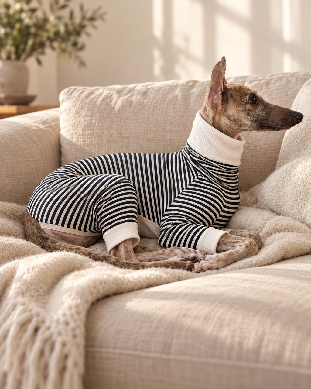 Çizgi Striped Dog Pyjamas — everyday wear