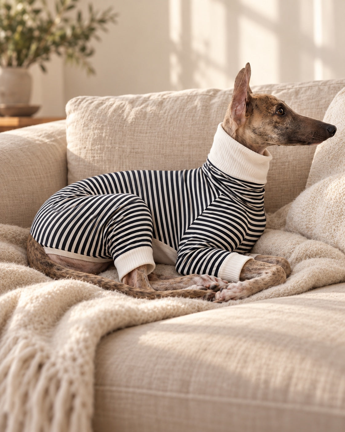 Çizgi Striped Dog Pyjamas — everyday wear