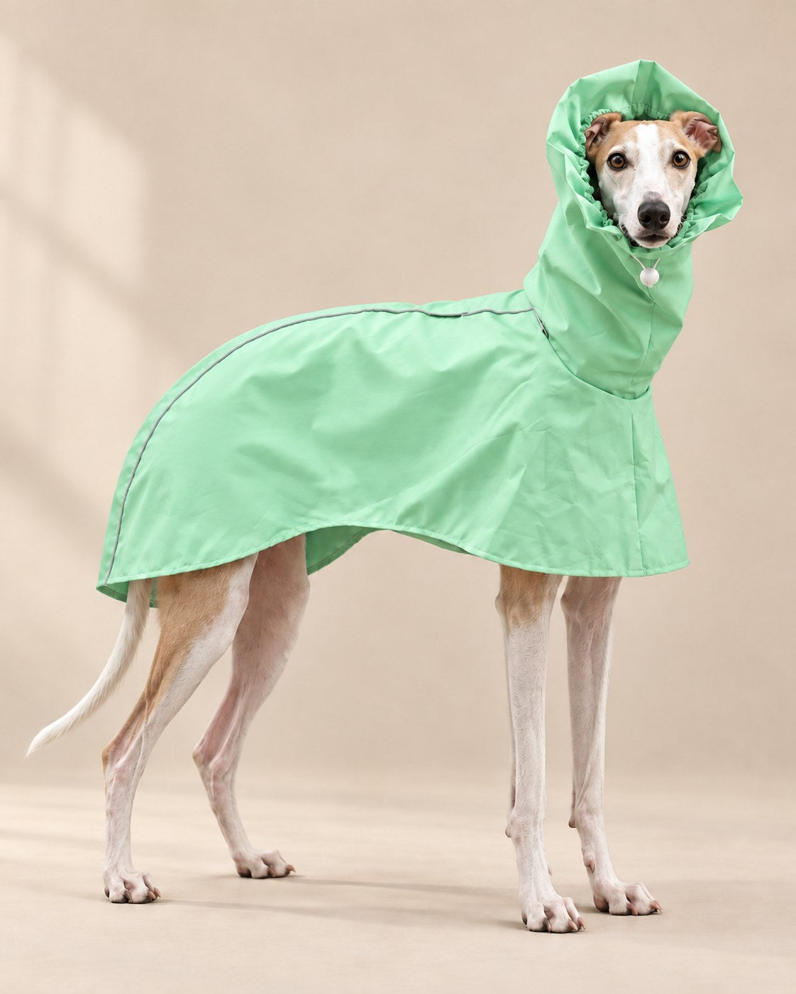 Mint Damla Kapüşonlu Tazı Yağmurluğu — Whippet