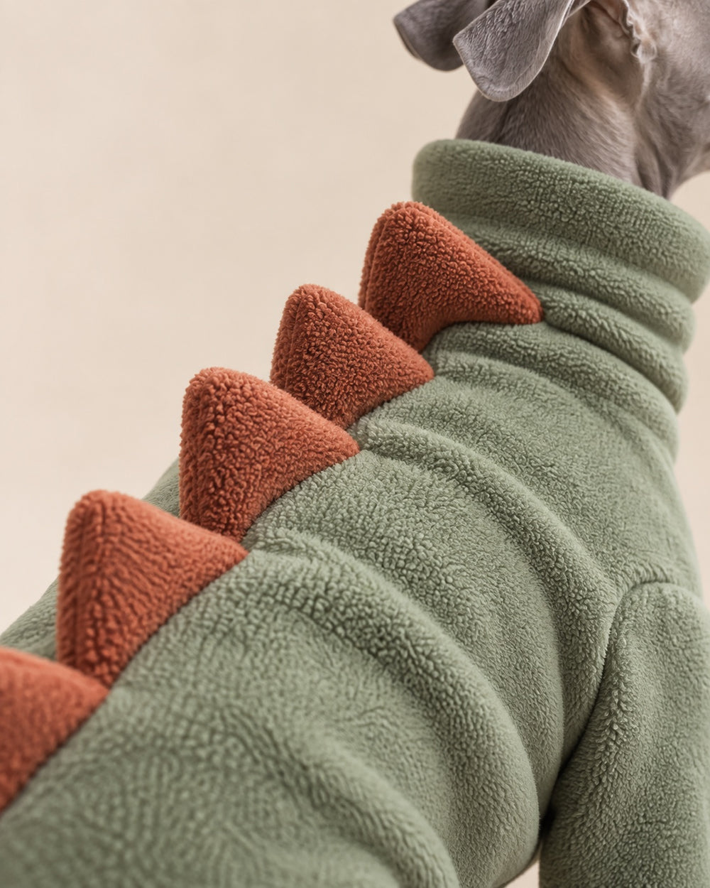 Dino Fleece Dog Suit — fabric and fastening detail