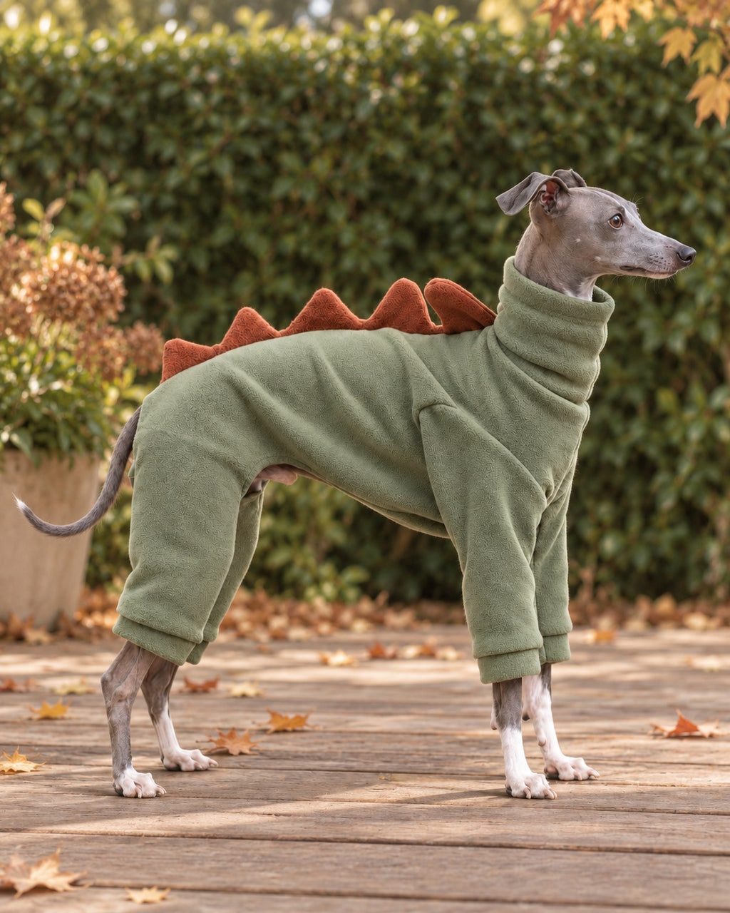 Dino Fleece Dog Suit — everyday wear