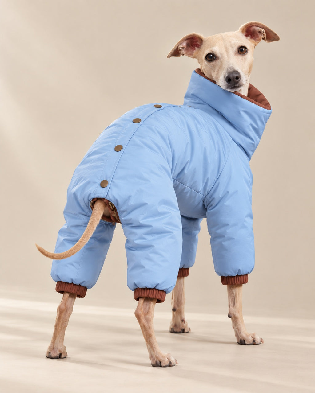 Dönence Reversible Puffer Dog Suit — back view