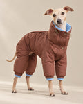 Brown–Blue Dönence Reversible Puffer Dog Suit — Italian Greyhound