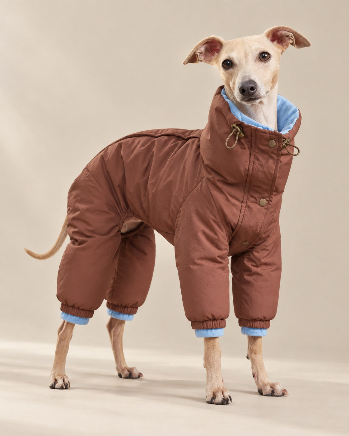 Brown–Blue Dönence Reversible Puffer Dog Suit — Italian Greyhound