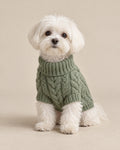 Adaçayı Harman Örgü Kazak — Maltese