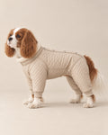 Bej Kırağı Kapitone Tulum — Cavalier King Charles