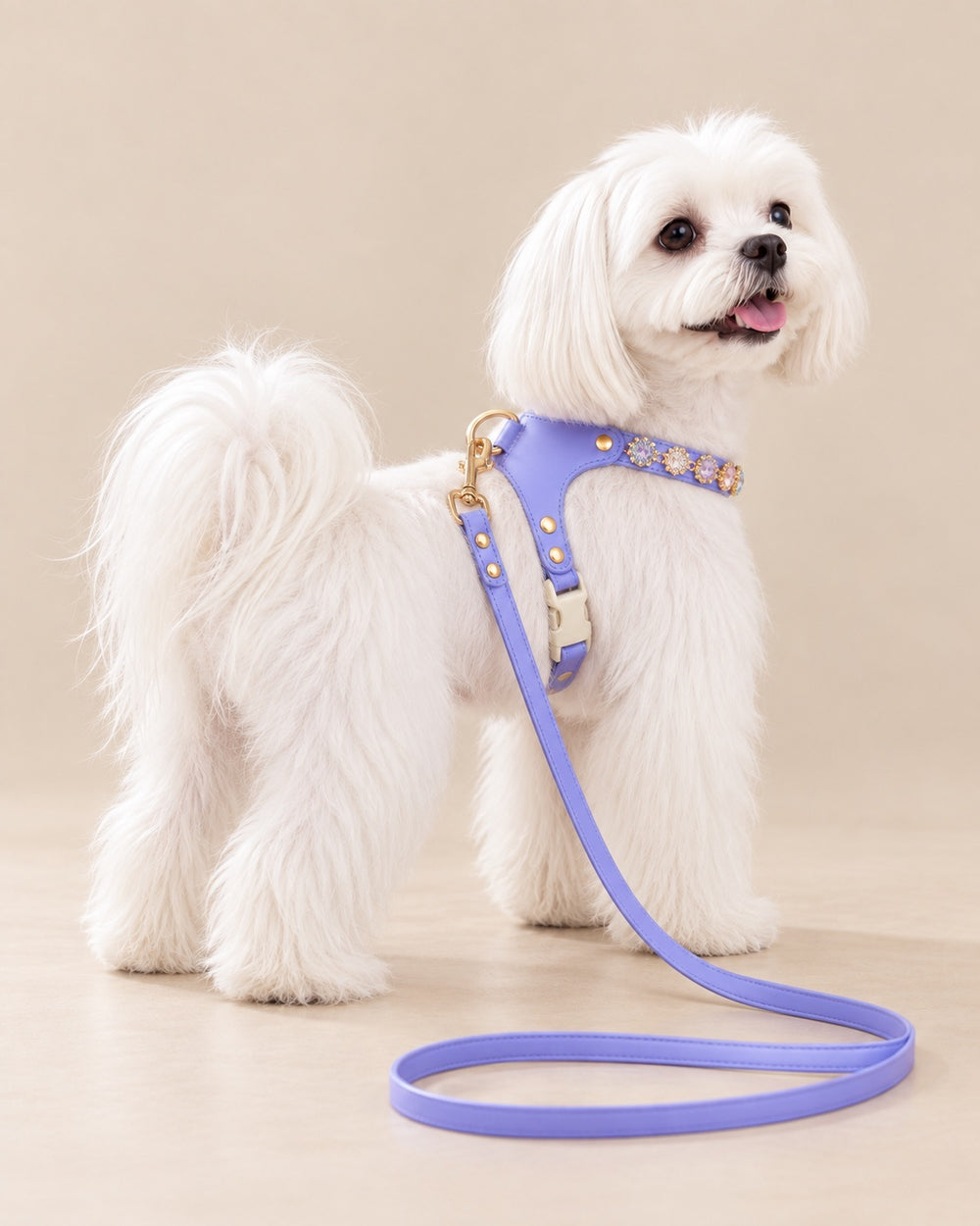 Mücevher Gemstone Harness & Lead Set — back view