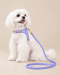 Lilac Mücevher Gemstone Harness & Lead Set — Maltese