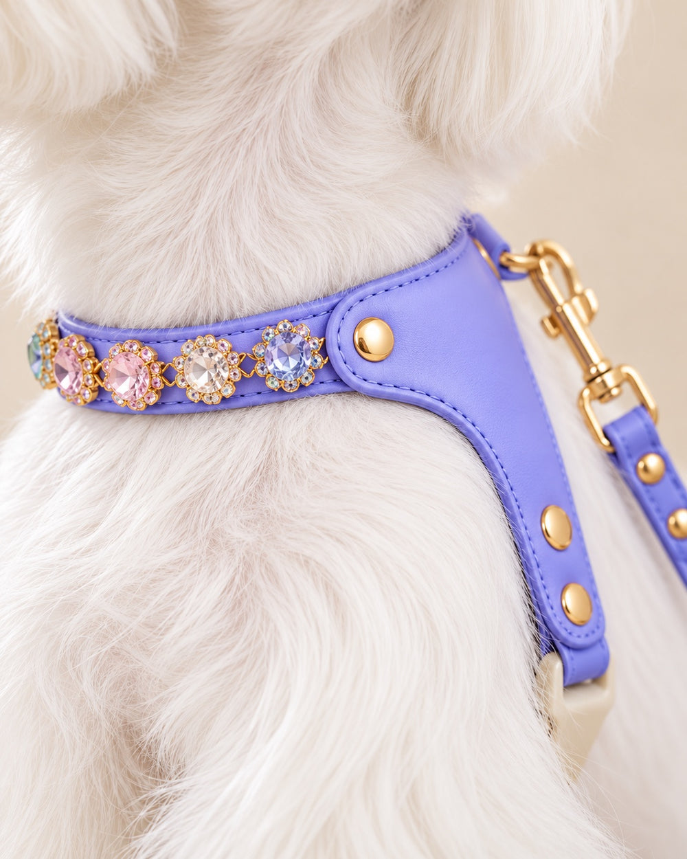 Mücevher Gemstone Harness & Lead Set — fabric and fastening detail