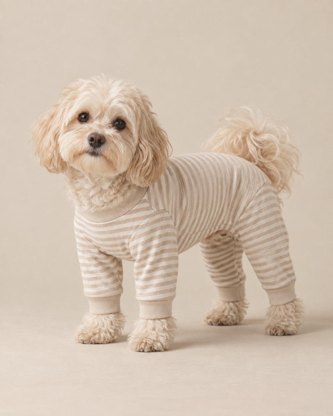 Bej Nefes Pijama Tulum — Maltipoo