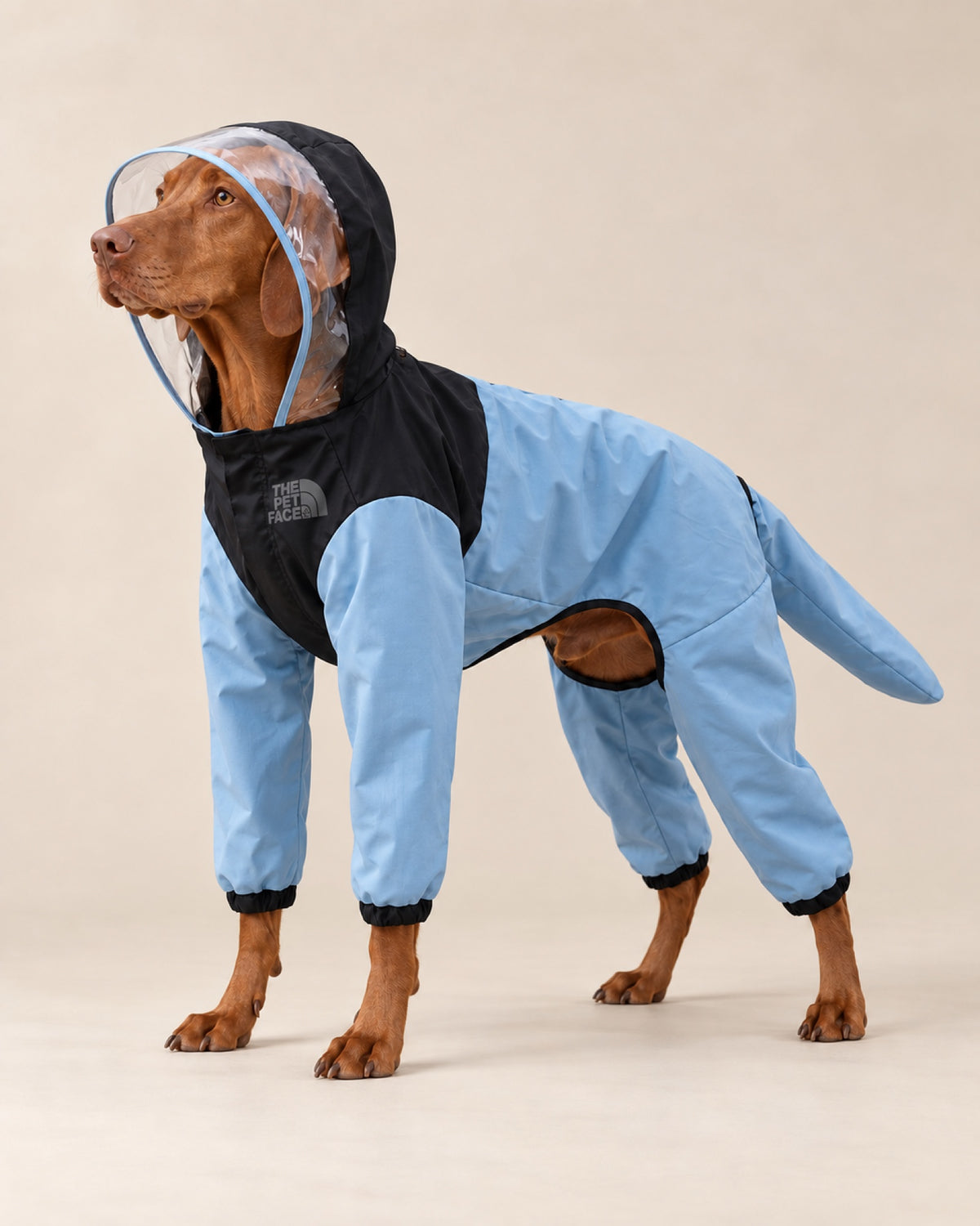 Gök The Pet Face Fırtına Tulumu — Macar Vizsla