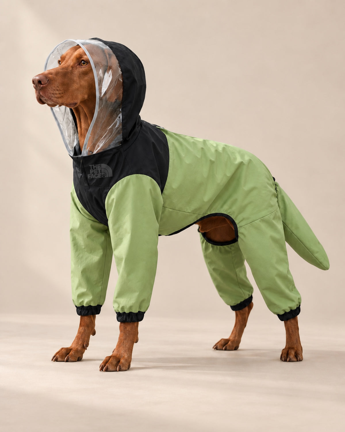 Yosun The Pet Face Fırtına Tulumu — Macar Vizsla