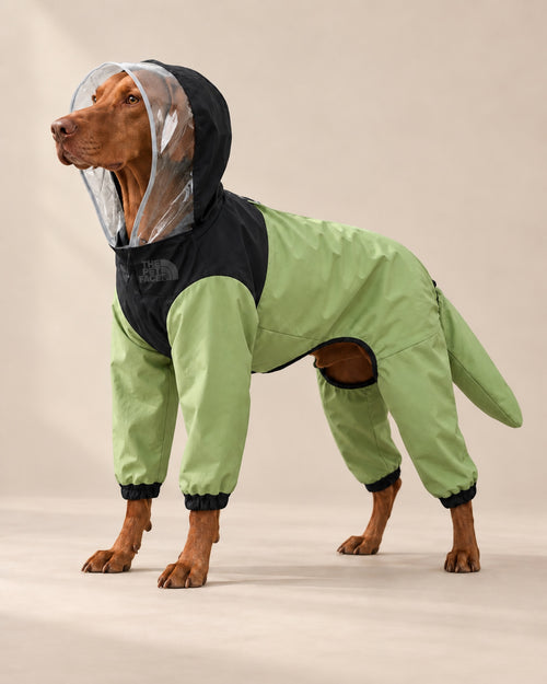Yosun The Pet Face Fırtına Tulumu — Macar Vizsla