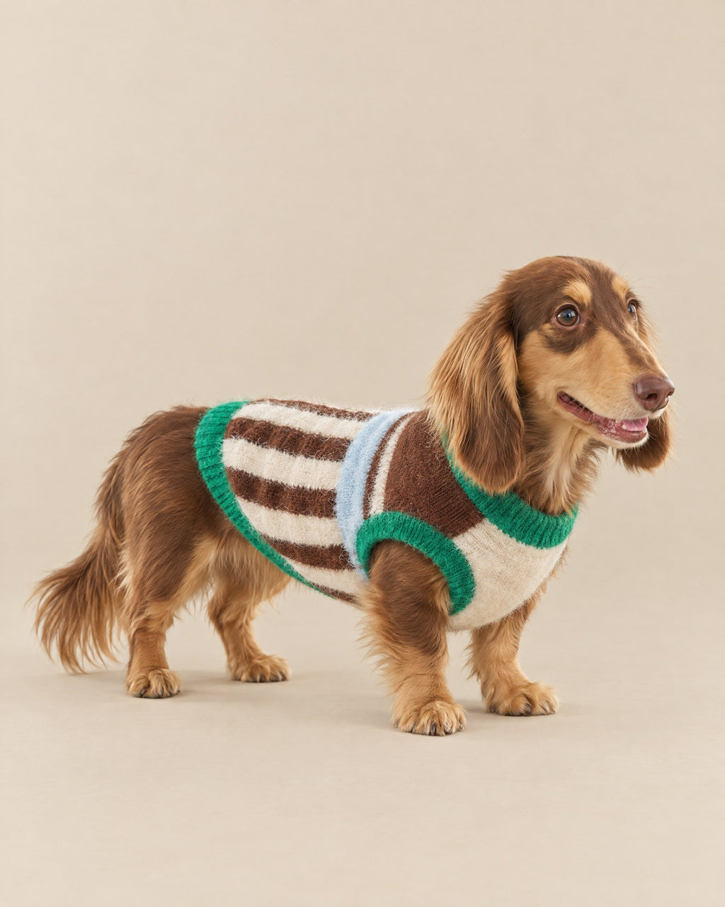 Kahve–Krem Tiramisu Çizgili Tüylü Kazak — Dachshund