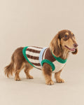 Kahve–Krem Tiramisu Çizgili Tüylü Kazak — Dachshund