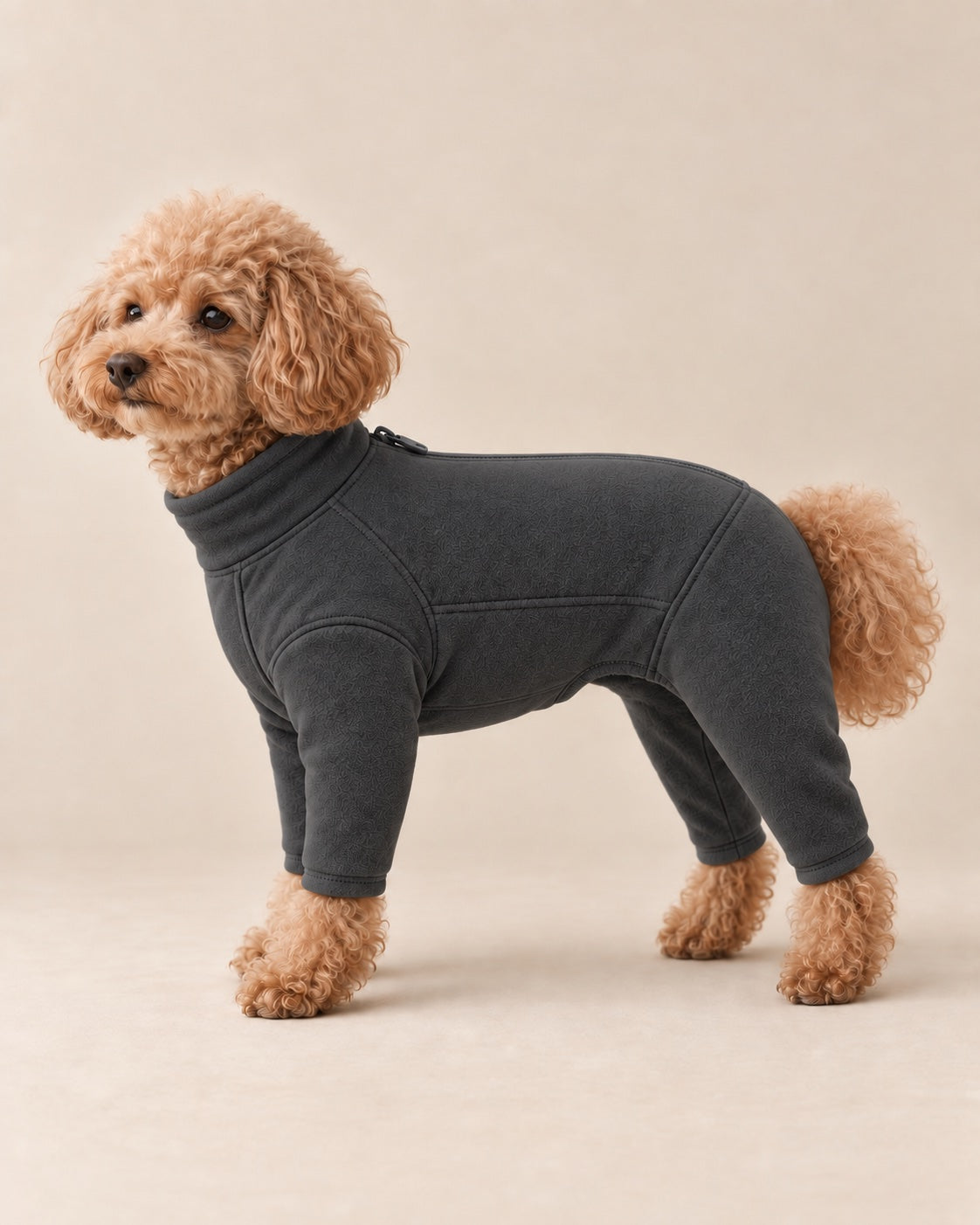 Antrasit Yayla Teknik Polar Tulum — Toy Poodle